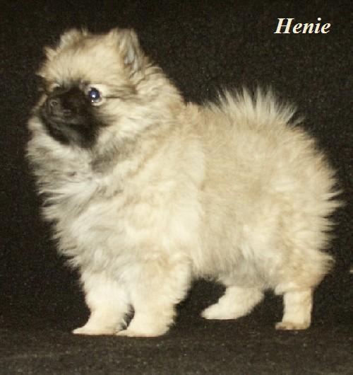 Henie z Temnch noc